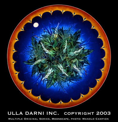 ULLA DARNI MULTIPLE ORIGINAL CHANDELIER