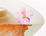 HIROSHI YAMANO SCENE OF JAPAN 023 FLOWER DETAIL