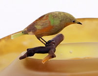 HIROSHI YAMANO SCENE OF JAPAN 023 BIRD DETAIL