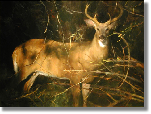 GLENN HARRINGTON - BUCK
