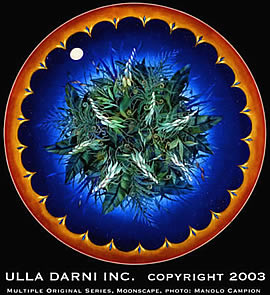 ULLA DARNI MOONSCAPE CHANDELIER