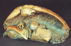 LEO E. OSBORNE BRONZES - SONG OF THE PACIFIC NORTHWEST