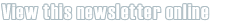 NEWSLETTER ONLINE