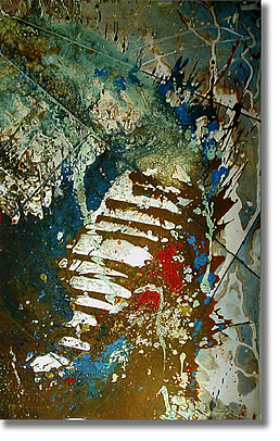 TAMANIAN PT170 ZAPPA