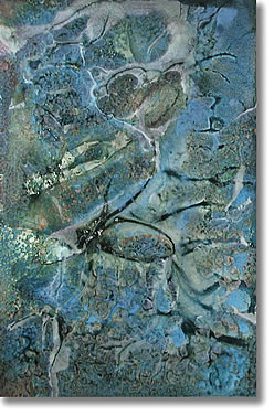 TAMANIAN PT201 ANOTHER SOFT TOUCH