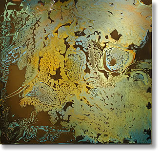 TAMANIAN_PT107 SOFT TOUCH