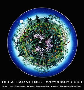 ULLA DARNI MOONSCAPE