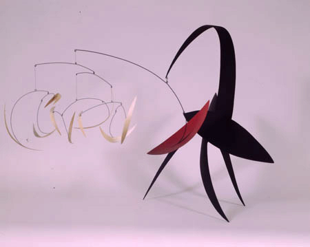 MARK DAVIS TRANSITION