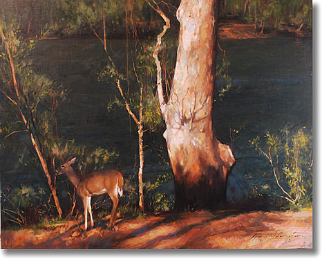 GLENN HARRINGTON DOE ON THE CANAL