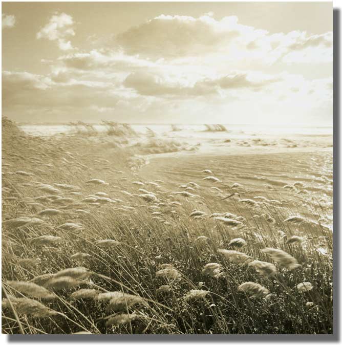 MICHAEL KAHN PHOTOGRAPHY