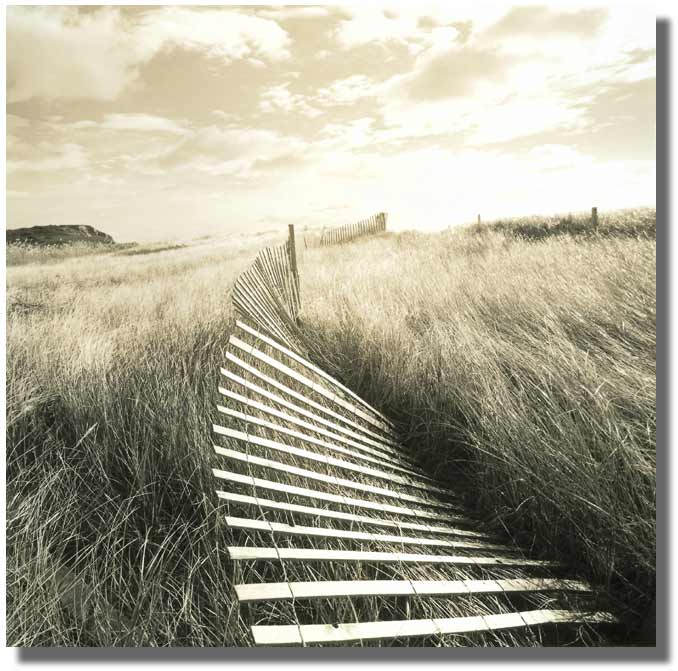 MICHAEL KAHN PHOTOGRAPHY