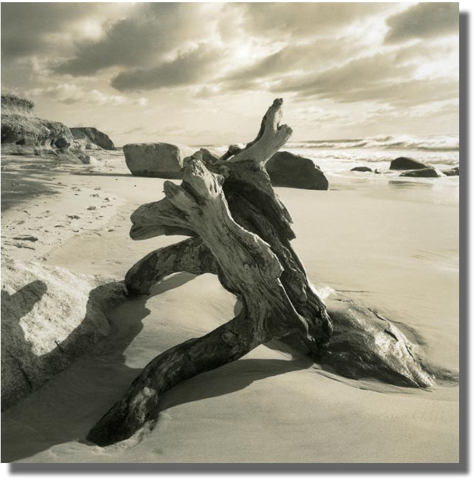 MICHAEL KAHN PHOTOGRAPHY