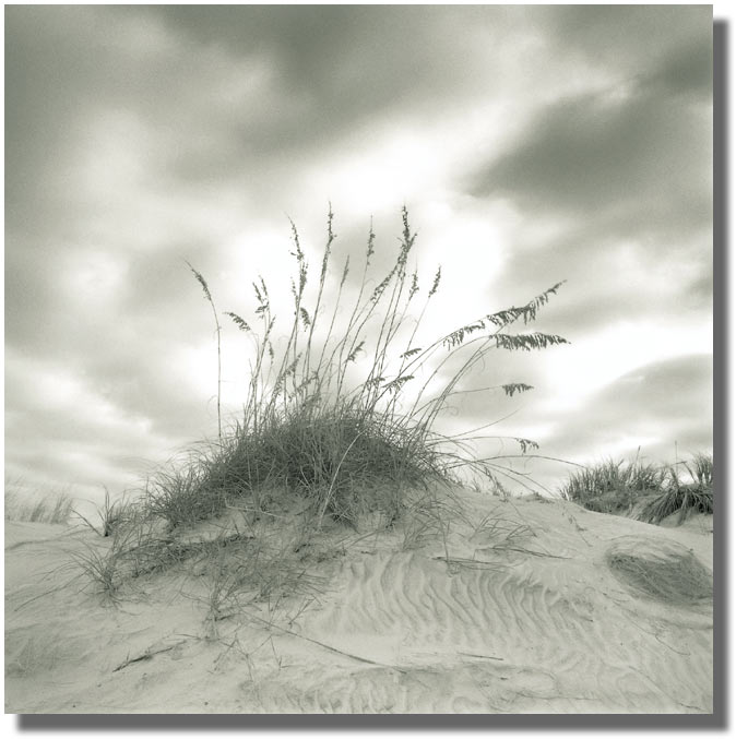 MICHAEL KAHN PHOTOGRAPHY