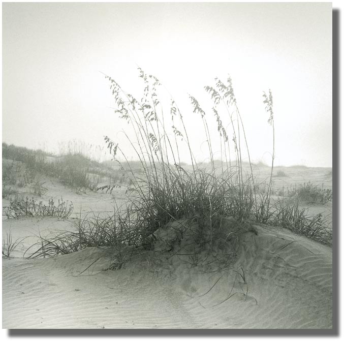 MICHAEL KAHN PHOTOGRAPHY