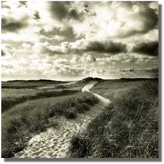 MICHAEL KAHN PHOTOGRAPHY